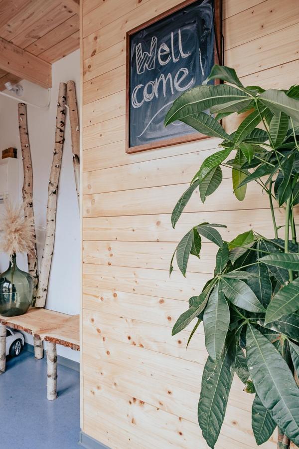 Hostel Oder Ferienwohnung 1-16 Personen Im Blauen Haus 페마른 외부 사진